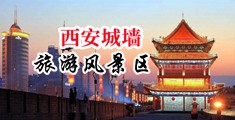 真实破处视频在线免费观看中国陕西-西安城墙旅游风景区